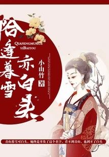 恰逢暮雪亦白頭