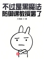 不過是黑魔法防禦課教授罷了