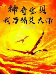 神奇寶貝：我乃精靈大師
