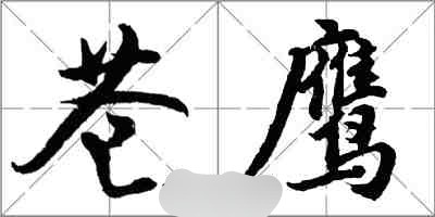 蒼鷹1殘餘的光明