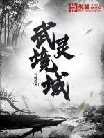 武靈境域