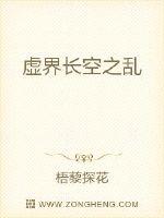 虛界長空之亂
