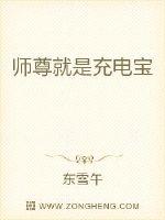 師尊就是充電寶