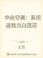 中央空調：系統逼我當白蓮花