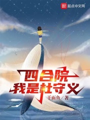 四合院:我是杜守義