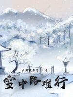 雪中路難行