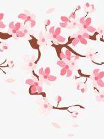 紅塵符道