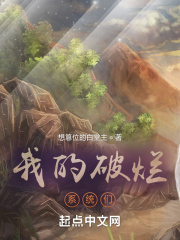 我的破爛系統們