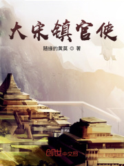 大宋鎮官使