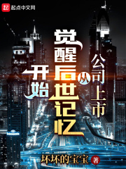 公司上市從覺醒後世記憶開始