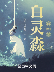 白靈淼的野望