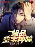 極品鑑寶神瞳