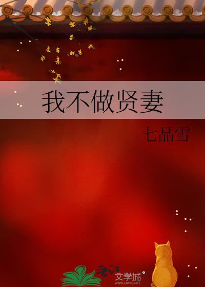 我不做賢妻