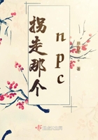 拐走那個npc