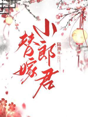 替嫁小郎君