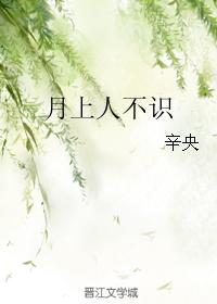 月上人不識