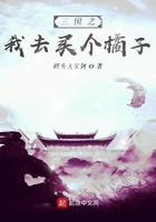 三國之我去買個橘子