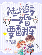陸少追妻二婚要翻車