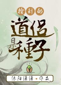 撿到的道侶是種子