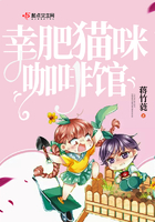 幸肥貓咪咖啡館