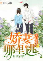 豪門甜寵：嬌妻哪裡逃