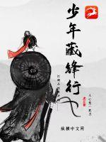 少年藏鋒行