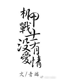 機甲戰士沒有愛情