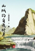 山賊的自我修養