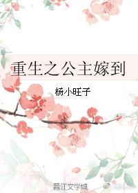 重生之公主嫁到