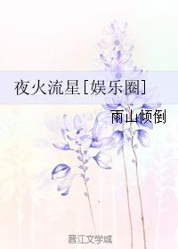 夜火流星[娛樂圈]