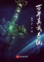 萬界真武系統
