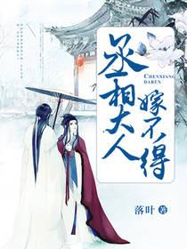 丞相大人嫁不得