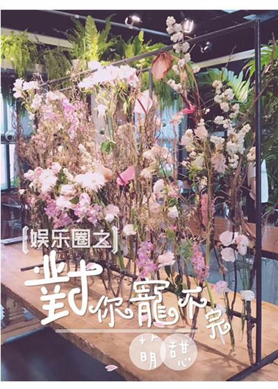 娛樂圈之對你寵不完