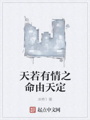 天若有情之命由天定