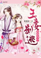 碎瓊亂玉之王妻別逃