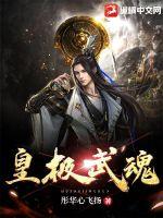 皇極武魂