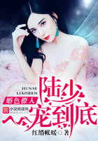婚色撩人：陸少，一寵到底！