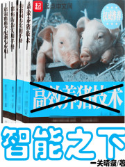 智慧之下
