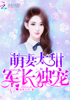 萌妻太甜:軍長獨寵