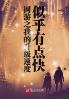 網遊之我的升級速度似乎有點快