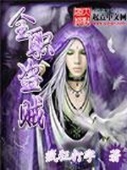 全職盜賊