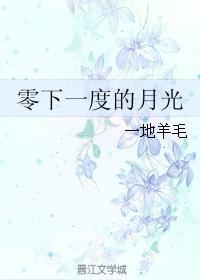 零下一度的月光