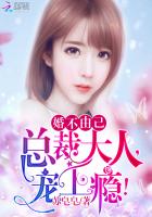 婚不由己:總裁大人,寵上癮!