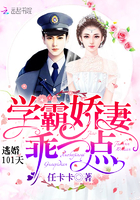 逃婚101天:學霸嬌妻,乖一點