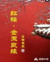 紅樓:金玉良緣