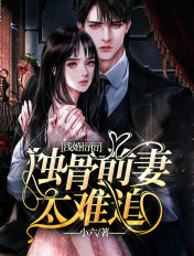 淺婚衍衍:蝕骨前妻太難追