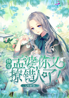 快穿:孟婆,你又撩錯人了!