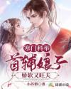 寒門科舉：首輔娘子嬌軟又旺夫