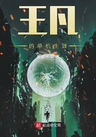 王凡的單機生涯