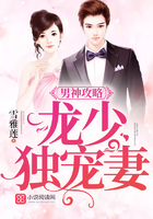 男神攻略:龍少獨寵妻